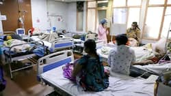 Amid The Covid Pandemic, Experts Caution People Against Swine Flu As Cases Of H1NI Rise