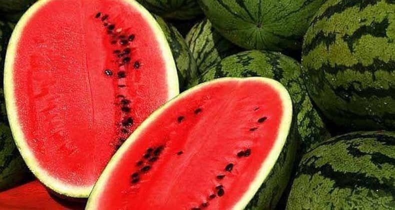 Watermelon Fake Vs Real: तरबूज भी हो सकता है नकली! कहीं आप भी तो नहीं खा रहे यह अनहेल्दी फल? ऐसे संमझे असली और नकली तरबूज का फर्क