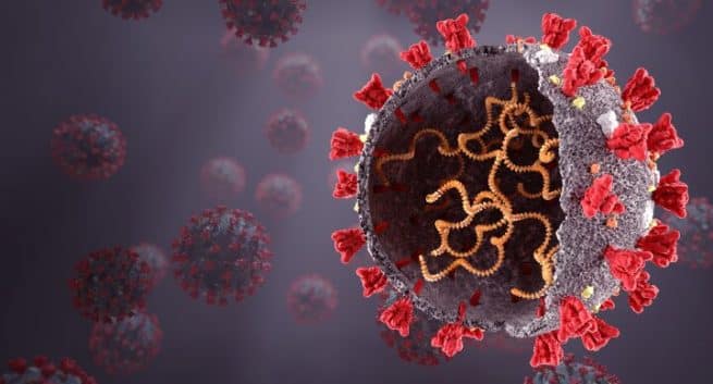COVID-19 Live Updates: Delta Variant Soon To Become Dominant Strain Worldwide, Says WHO