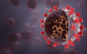 COVID-19 Live Updates: WHO Warning On Delta Variant Infection Rate As It Spreads Rapidly