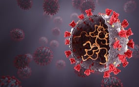 COVID-19 Live Updates: WHO Warning On Delta Variant Infection Rate As It Spreads Rapidly COVID-19 Live Updates: WHO Warning On Delta Variant Infection Rate As It Spreads Rapidly