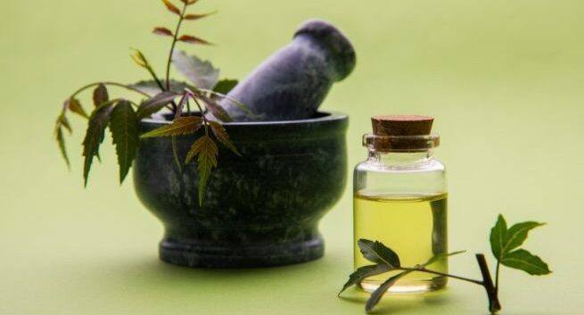 Neem Oil Benefits For Hair: Is It Good To Apply Neem Oil To Hair?