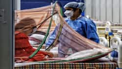 दिल्ली में तीन कोविड रिकवर मरीजों में एवैस्कुलर नेक्रोसिस (एवीएन) का किया निदान