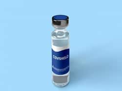 Coronavirus Live Updates : मप्र से विदेश जाने वाले अफसरों को मिलेगा कोविशील्ड के दूसरे डोज का प्रमाण पत्र