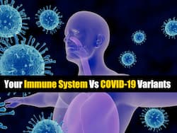 Can Your Immune System Protect You From Coronavirus Strains?