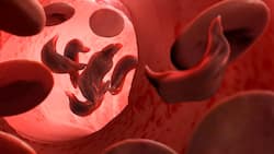 Sickle cell disease ups risk of COVID-19: Understand the triggers, minimise the threat