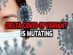 Delta COVID-19 Variant Is Mutating, We Are In Very Dangerous Period: Warns WHO Chief Delta COVID-19 Variant Is Mutating, We Are In Very Dangerous Period: Warns WHO Chief