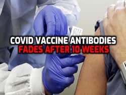 AstraZeneca, Pfizer COVID-19 Vaccine Antibodies Start Declining After 10 Weeks: Study
