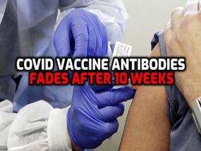 AstraZeneca, Pfizer COVID-19 Vaccine Antibodies Start Declining After 10 Weeks: Study