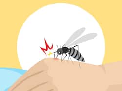 Zika Virus In Uttar Pradesh: लखनऊ में भी मिला जीका वायरस का एक मरीज, कानपुर में स्थिति कंट्रोल