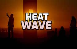Heatwave Alert In Delhi: Top 5 Tips on How To Survive A Heatwave