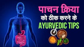 बार-बार बिगड़ती है सेहत तो पाचन क्रिया है खराब! जानें पाचन क्रिया को ठीक करने के आयुर्वेदिक टिप्स बार-बार बिगड़ती है सेहत तो पाचन क्रिया है खराब! जानें पाचन क्रिया को ठीक करने के आयुर्वेदिक टिप्स