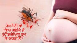 Malaria In Pregnancy: प्रेगनेंसी में मलेरिया होने पर मिसकैरेज तक हो सकता है, डॉक्‍टर से जानिए गर्भावस्‍था में मलेरिया होने पर क्‍या करें