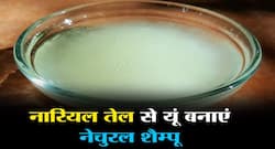 नारियल तेल से यूं बनाएं घर पर शैम्पू