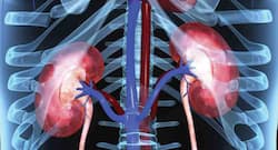 एक्सपर्ट्स ने कहा, कोरोनावायरस गंभीर रूप से संक्रमित लोगों की किडनी को पहुंचाता है नुकसान, रखें खास ख्याल