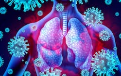 Cells Damaged By Lung Infection Can Become    COVID-19 Factories   , Lead To Severe Complications