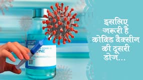 अध्ययन से पता चला, कोविड वैक्सीन की दूसरी खुराक क्यों है महत्वपूर्ण