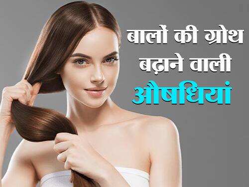 झड़ते बालों पर क्या लगाएं ताकि बाल वापस आ जाए, जानें बालों को वापस उगाने  वाले आयुर्वेदिक नुस्खे  हिंदी