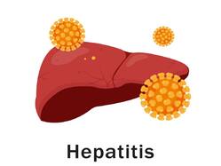 Asymptotic Nature Of Hepatitis B And C: Know The Importance Of Early Detection