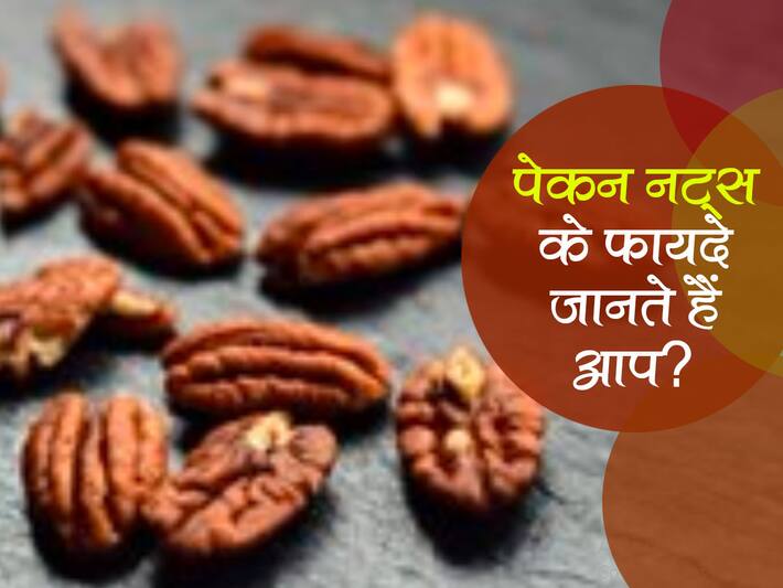 Pecan Nuts Benefits in Hindi भिदुरकाष्ठ नट्स (पेकन नट्स) के फायदे