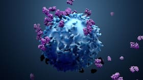 Coronavirus Live Updates: भारत में एक दिन में 41 हजार से ज्यादा कोविड मामले और 593 मौतें