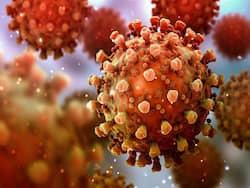 Covid Live Updates: No Lambda Covid Variant Cases Found In India Yet