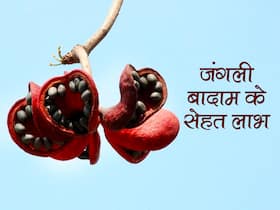 जंगली बादाम के फायदे जंगली बादाम के फायदे
