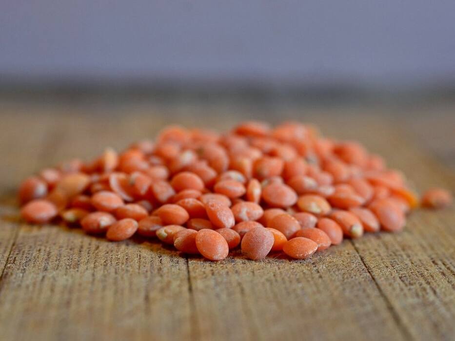 Protein Recipes For Vegetarians: मसल्स चाहिए तो घर पर बना कर खाएं ये 5 वेजिटेरियन प्रोटीन रेसिपी, मिलेगा भरपूर पोषण