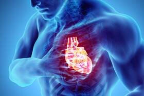 Risk Of Heart Attack, Stroke Increases In The First Two Weeks Following COVID, Says Lancet Study Risk Of Heart Attack, Stroke Increases In The First Two Weeks Following COVID, Says Lancet Study