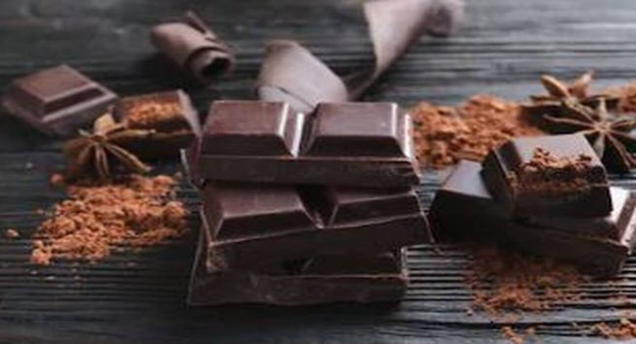 Bitter Foods: कई रोगों का काल हैं ये 4 कड़वी चीजें, अपनी थाली में जरूर करें शामिल