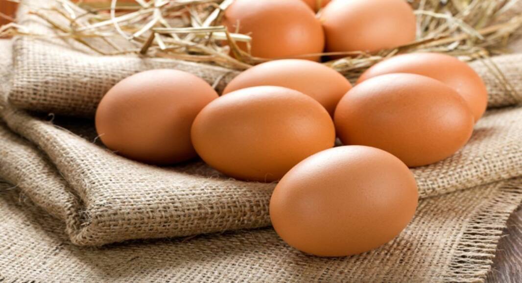 Vitamin D May Protect Against Colorectal Cancer: Best Dietary Sources Of The Sunshine Vitamin