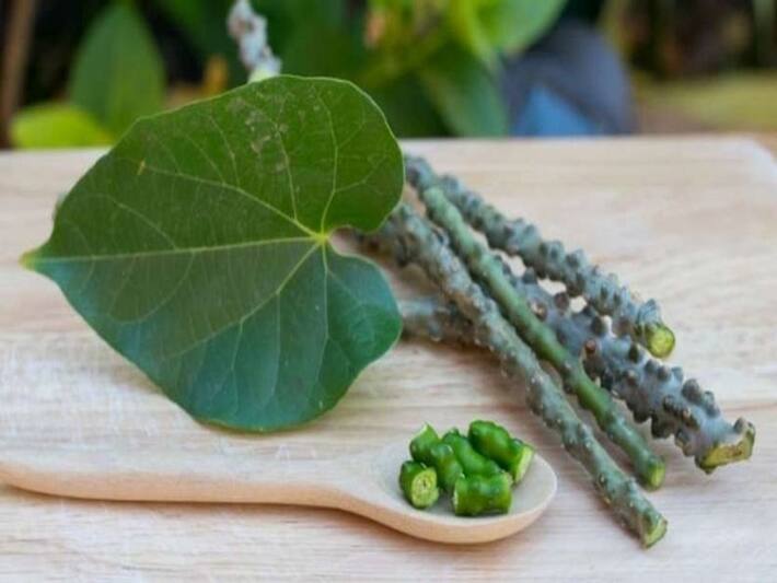 Ayurveda For Uric Acid Triphala, Neem And Other Herbs To Deal With