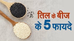 Reasons to Include Sesame Seeds in Your Daily Diet : तिल के बीज के 5 हैरान कर देने वाले फ़ायदे !