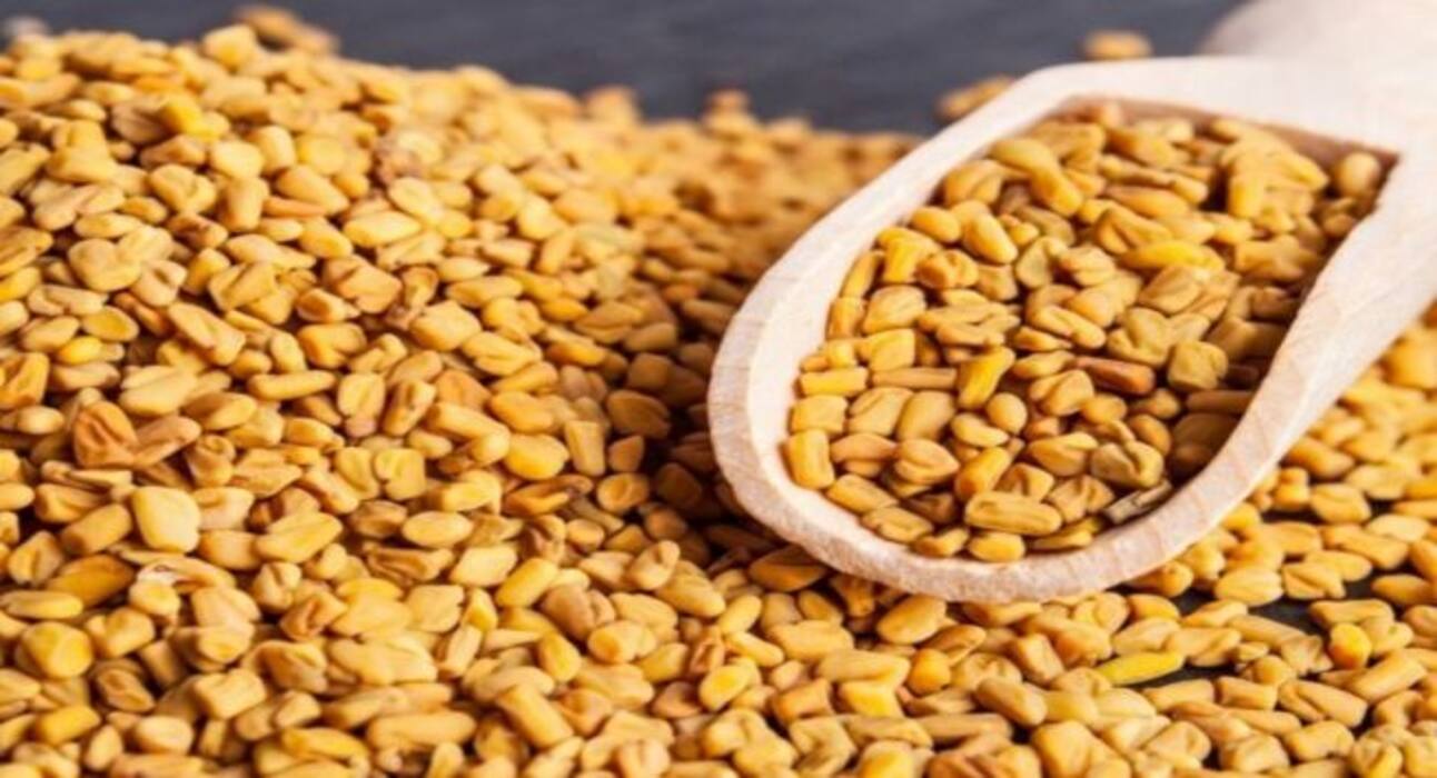 Bitter Foods: कई रोगों का काल हैं ये 4 कड़वी चीजें, अपनी थाली में जरूर करें शामिल