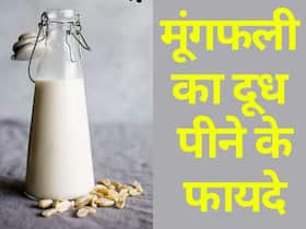 Peanut Milk Benefits: मूंगफली का दूध पीने से कम होता है बेड कोलेस्ट्रॉल, हार्ट पेशेंट के लिए है फायदेमंद