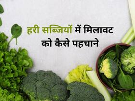 आपका सब्जीवाला हरी सब्जियों को फ्रेश दिखाने के लिए करता है इस केमिकल का इस्तेमाल, जानिए सब्जियों ,में मिलावट को कैसे पहचाने