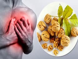 Consuming This One Dry Fruit Daily Can Cut Down Your Risk of Dying From Cardiovascular Diseases