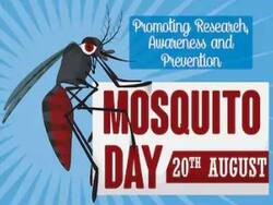 World Mosquito Day 2021: डेंगू, मलेरिया, चिकनगुनिया के लक्षणों को जानकर मच्छरों को इन आयुर्वेदिक उपायों से रखें खुद से दूर