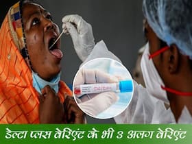 Three Strains of Delta-plus: महराष्ट्र में दिखे डेल्टा प्लस वेरिएंट के भी 3 अलग वेरिएंट, 66 अजीब केस मिलने से मचा हडकंप Three Strains of Delta-plus: महराष्ट्र में दिखे डेल्टा प्लस वेरिएंट के भी 3 अलग वेरिएंट, 66 अजीब केस मिलने से मचा हडकंप