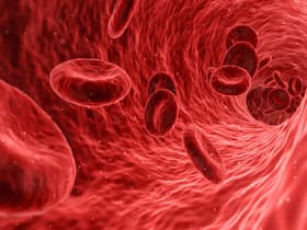 Common Genetic Blood Disorders And How They Are Treated