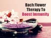 Here's How Bach Flower Therapy Helps Boost Immunity And Fight Off Infections