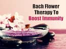 Here's How Bach Flower Therapy Helps Boost Immunity And Fight Off Infections