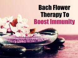 Bach Flower Therapy To Boost Immunity And Fight Off Infections