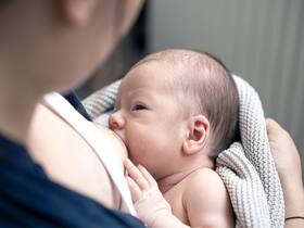 Sugars In Breast Milk May Replace Antibiotics That Help Treat Infections In Newborns Sugars In Breast Milk May Replace Antibiotics That Help Treat Infections In Newborns