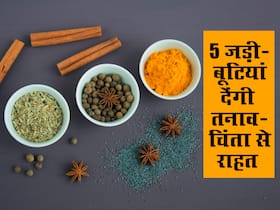 इन 5 आयुर्वेदिक जड़ी-बूटियों से दूर करें तनाव और चिंता, जानें कौन सी जड़ी-बूटी सबसे ज्यादा फायदेमंद