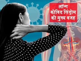 लॉन्ग कोविड सिंड्रोम की असल वजह आई सामने, शोधकर्ताओं ने बताया शरीर में एक वजह से लोग हो रहे शिकार