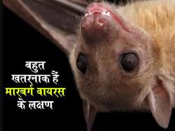 Marburg Virus: कोरोना के बीच आया मारबर्ग वायरस, बहुत खतरनाक हैं इसके लक्षण, 8वें-9वें दिन हो सकती है मौत