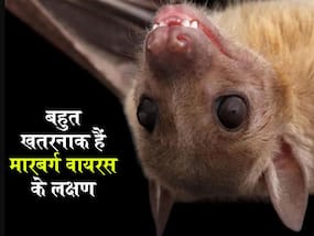 Marburg Virus: कोरोना के बीच आया मारबर्ग वायरस, बहुत खतरनाक हैं इसके लक्षण, 8वें-9वें दिन हो सकती है मौत Marburg Virus: कोरोना के बीच आया मारबर्ग वायरस, बहुत खतरनाक हैं इसके लक्षण, 8वें-9वें दिन हो सकती है मौत