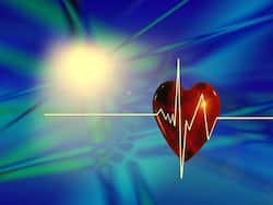 Peptide Drug May Help In The Treatment Of Covid-Related Heart Damage
