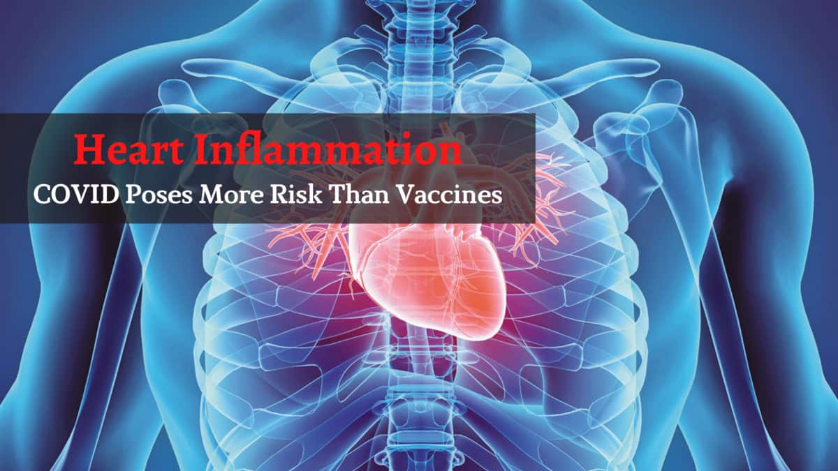 Death Due To Heart Inflammation Common Among COVID Recovered Patients